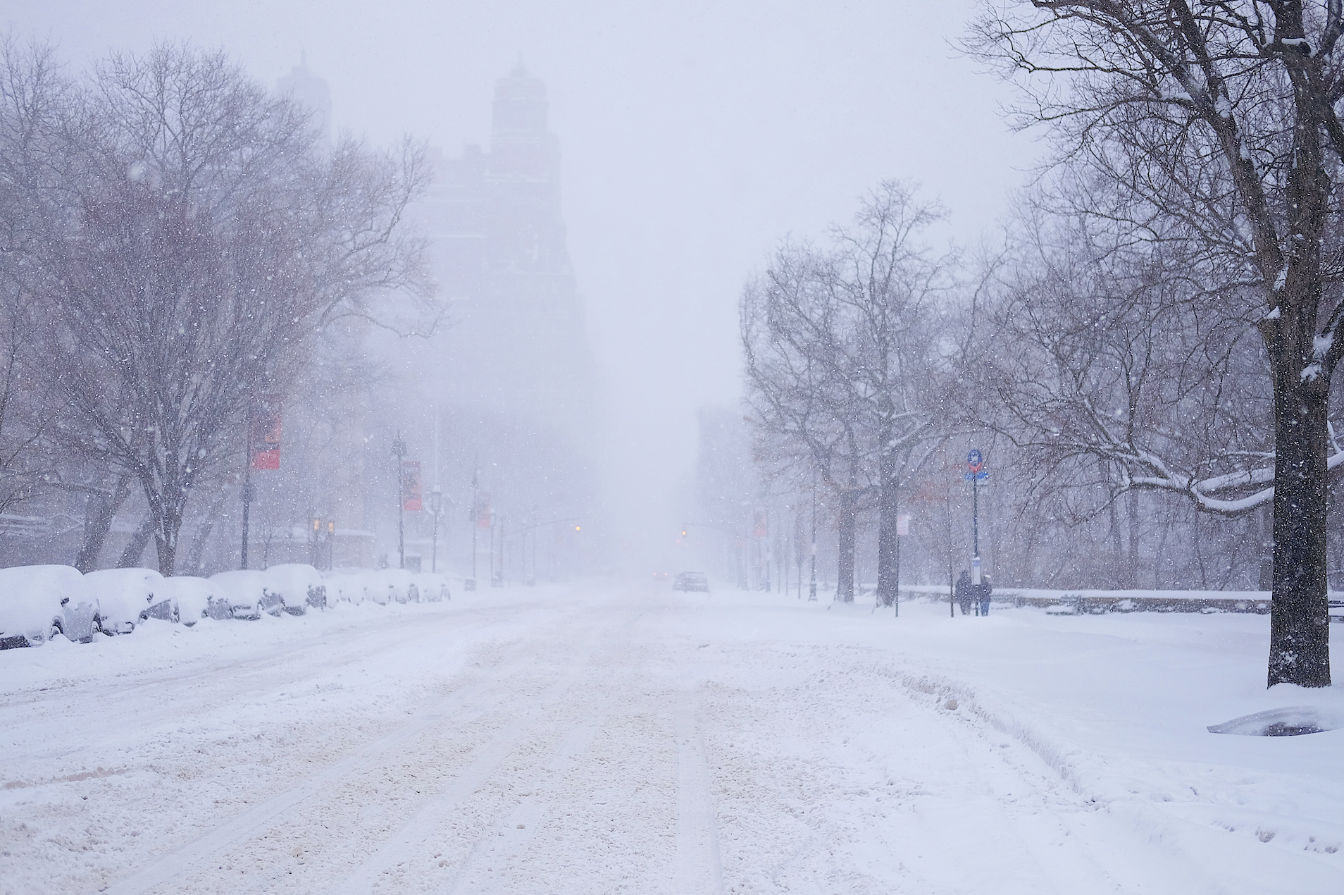 "Snow"